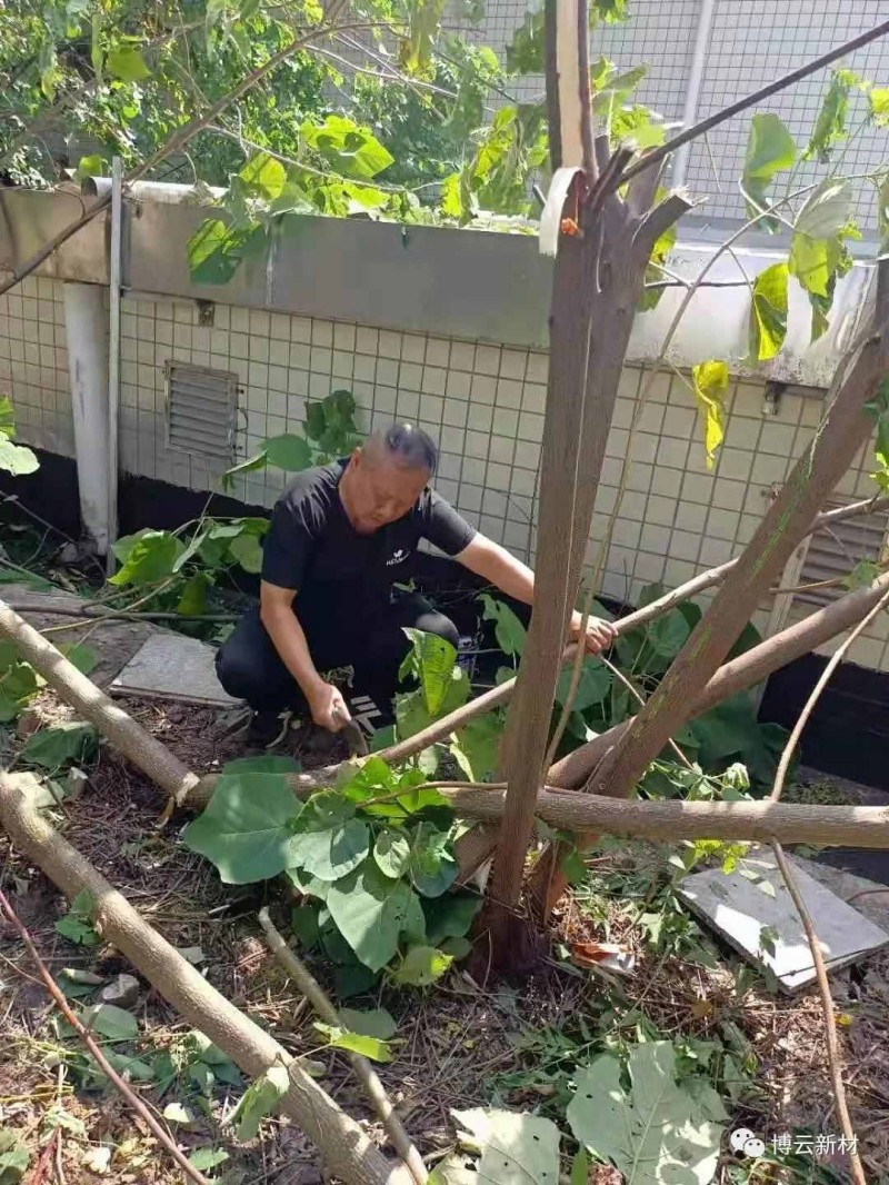 好博(中国)体育智能科技股份有限公司网站